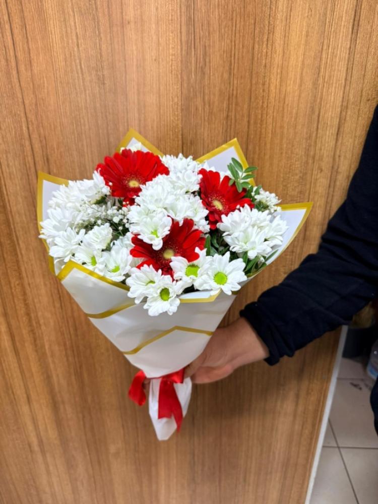 KIRMIZI CERBERA KASIMPATI